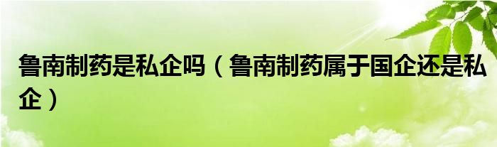 鲁南制药是私企吗（鲁南制药属于国企还是私企）