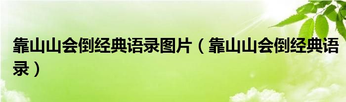 靠山山会倒经典语录图片（靠山山会倒经典语录）