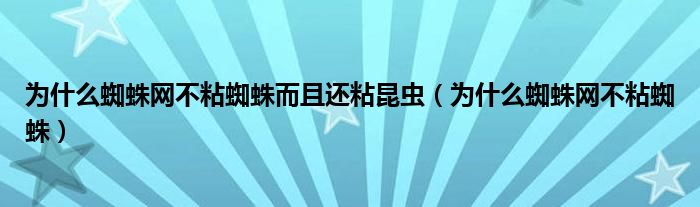 为什么蜘蛛网不粘蜘蛛而且还粘昆虫（为什么蜘蛛网不粘蜘蛛）