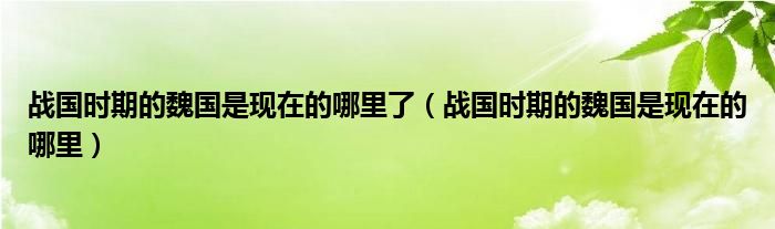 战国时期的魏国是现在的哪里了（战国时期的魏国是现在的哪里）