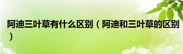 阿迪三叶草有什么区别（阿迪和三叶草的区别）