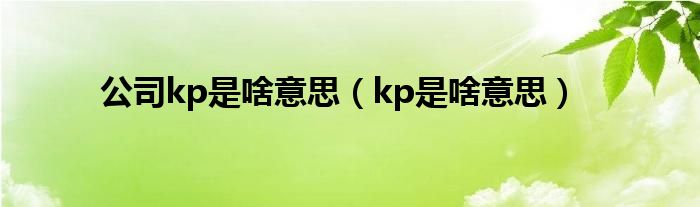 公司kp是啥意思（kp是啥意思）