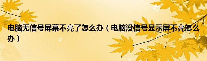 电脑无信号屏幕不亮了怎么办（电脑没信号显示屏不亮怎么办）