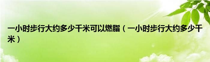 一小时步行大约多少千米可以燃脂（一小时步行大约多少千米）