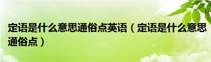 定语是什么意思通俗点英语（定语是什么意思通俗点）