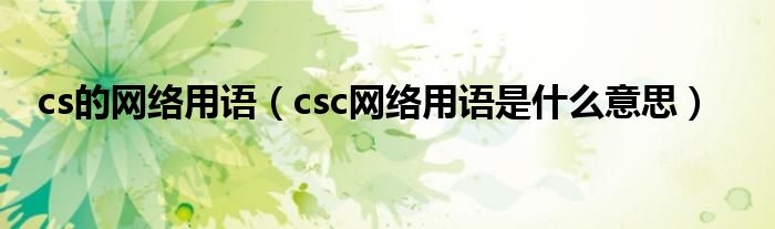 cs的网络用语（csc网络用语是什么意思）