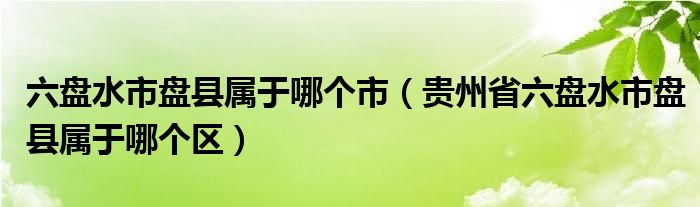 六盘水市盘县属于哪个市（贵州省六盘水市盘县属于哪个区）