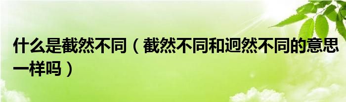 什么是截然不同（截然不同和迥然不同的意思一样吗）