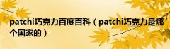 patchi巧克力百度百科（patchi巧克力是哪个国家的）