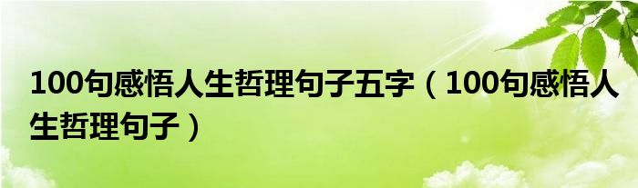 100句感悟人生哲理句子五字（100句感悟人生哲理句子）