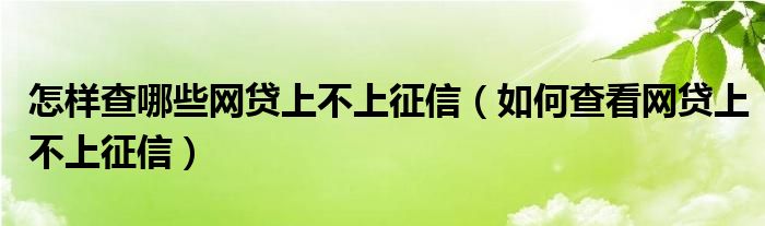 怎样查哪些网贷上不上征信（如何查看网贷上不上征信）