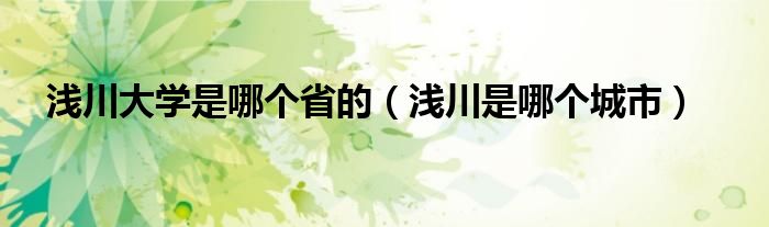 浅川大学是哪个省的（浅川是哪个城市）