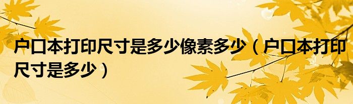 户口本打印尺寸是多少像素多少（户口本打印尺寸是多少）