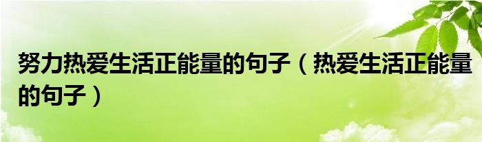 努力热爱生活正能量的句子（热爱生活正能量的句子）