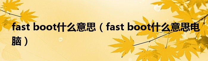 fast boot什么意思（fast boot什么意思电脑）