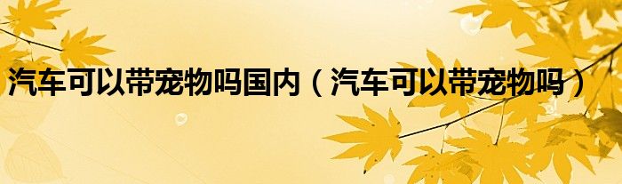 汽车可以带宠物吗国内（汽车可以带宠物吗）