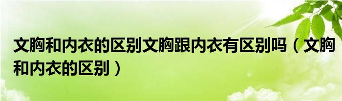 文胸和内衣的区别文胸跟内衣有区别吗（文胸和内衣的区别）