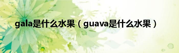 gala是什么水果（guava是什么水果）