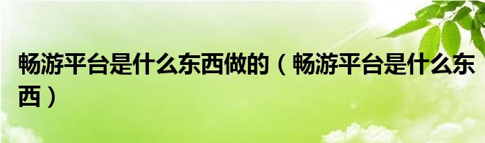 畅游平台是什么东西做的（畅游平台是什么东西）