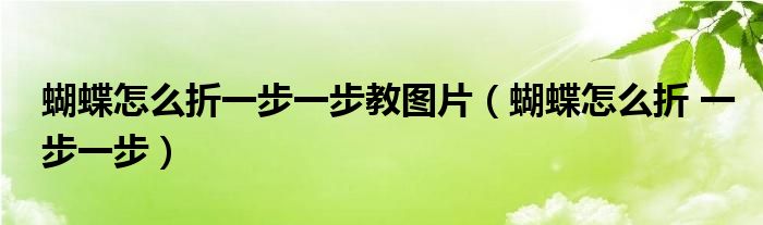 蝴蝶怎么折一步一步教图片（蝴蝶怎么折 一步一步）