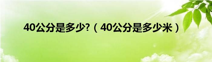 40公分是多少?（40公分是多少米）