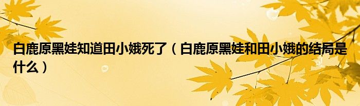 白鹿原黑娃知道田小娥死了（白鹿原黑娃和田小娥的结局是什么）