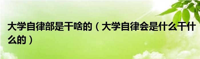 大学自律部是干啥的（大学自律会是什么干什么的）