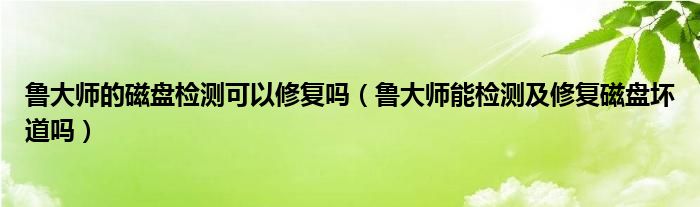 鲁大师的磁盘检测可以修复吗（鲁大师能检测及修复磁盘坏道吗）