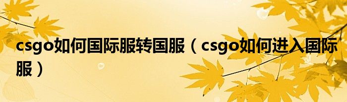 csgo如何国际服转国服（csgo如何进入国际服）