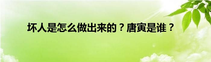 坏人是怎么做出来的？唐寅是谁？