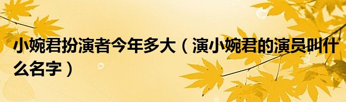 小婉君扮演者今年多大（演小婉君的演员叫什么名字）