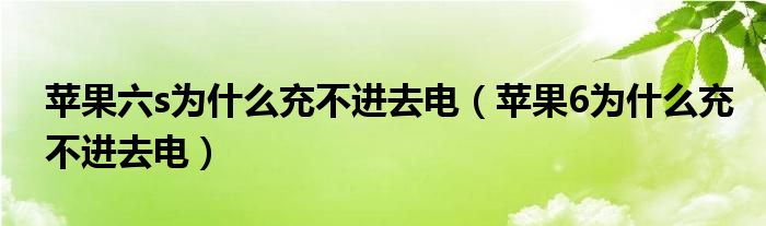 苹果六s为什么充不进去电（苹果6为什么充不进去电）