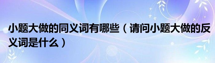 小题大做的同义词有哪些（请问小题大做的反义词是什么）