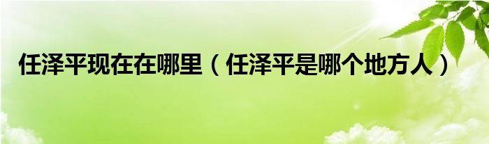 任泽平现在在哪里（任泽平是哪个地方人）