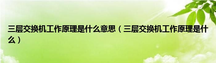 三层交换机工作原理是什么意思（三层交换机工作原理是什么）