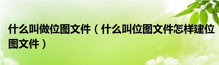 什么叫做位图文件（什么叫位图文件怎样建位图文件）