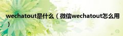 wechatout是什么（微信wechatout怎么用）