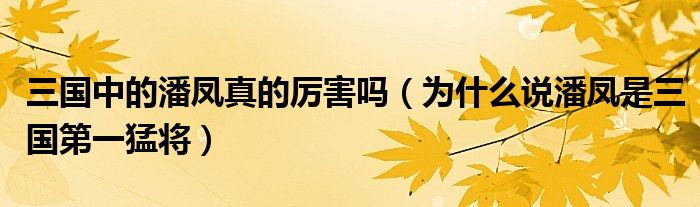 三国中的潘凤真的厉害吗（为什么说潘凤是三国第一猛将）