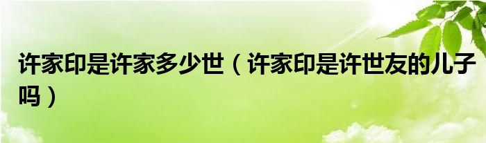 许家印是许家多少世（许家印是许世友的儿子吗）