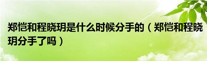 郑恺和程晓玥是什么时候分手的（郑恺和程晓玥分手了吗）