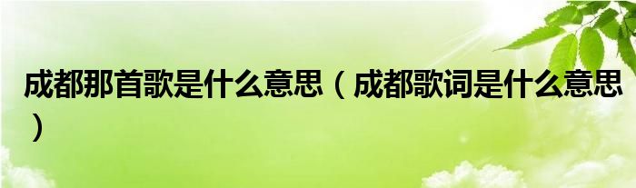 成都那首歌是什么意思（成都歌词是什么意思）