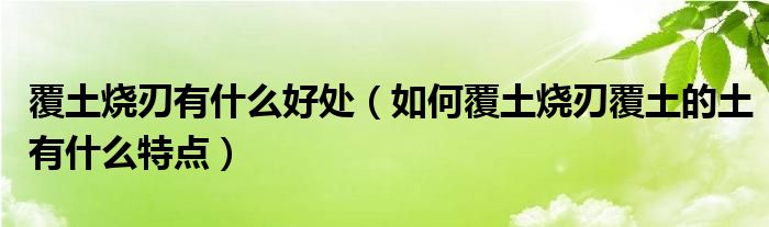 覆土烧刃有什么好处（如何覆土烧刃覆土的土有什么特点）