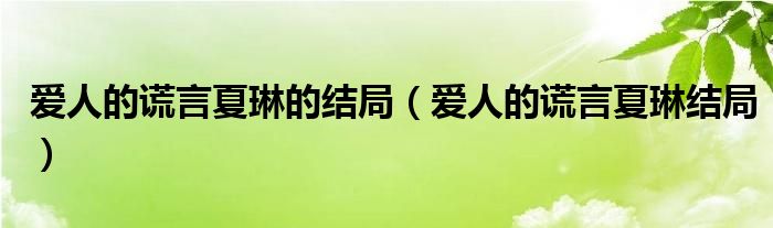 爱人的谎言夏琳的结局（爱人的谎言夏琳结局）