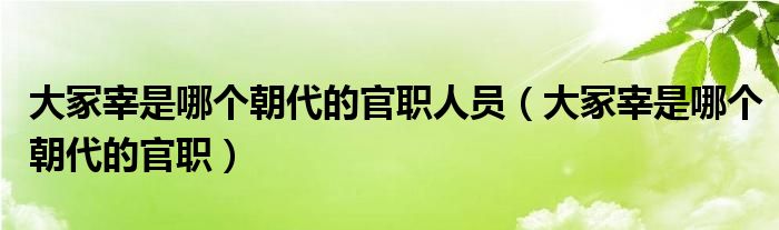 大冢宰是哪个朝代的官职人员（大冢宰是哪个朝代的官职）