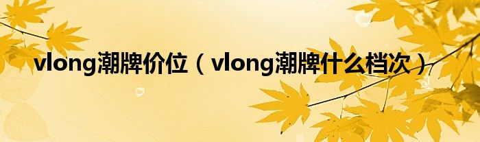 vlong潮牌价位（vlong潮牌什么档次）