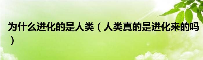 为什么进化的是人类（人类真的是进化来的吗）