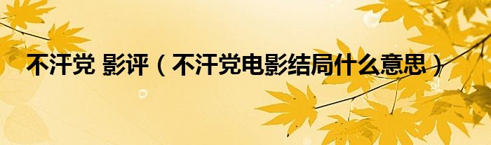 不汗党 影评（不汗党电影结局什么意思）