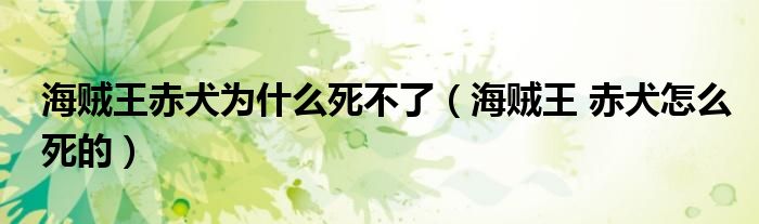 海贼王赤犬为什么死不了（海贼王 赤犬怎么死的）