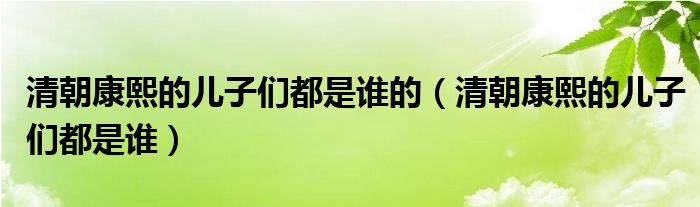 清朝康熙的儿子们都是谁的（清朝康熙的儿子们都是谁）