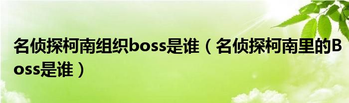 名侦探柯南组织boss是谁（名侦探柯南里的Boss是谁）